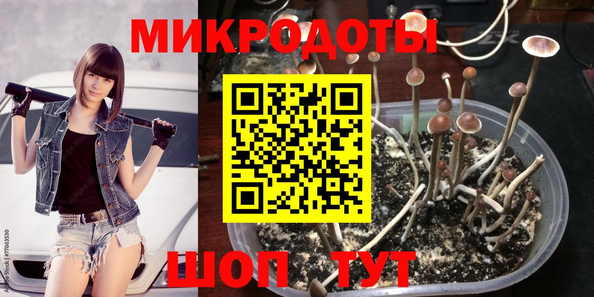 Заводоуковск  Галлюциногенные грибы Cubensis  Вход с VPN 