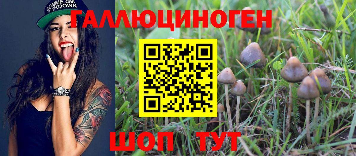 Галлюциногенные грибы мицелий Заводоуковск